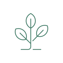 green-tree