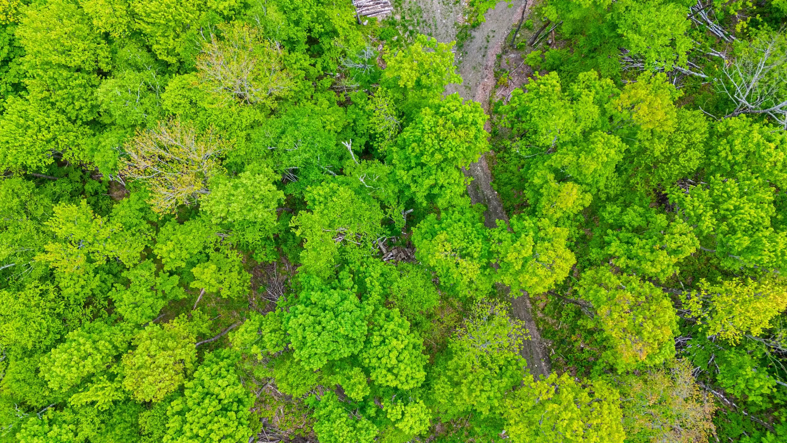 DJI_20250528133548_0014_D