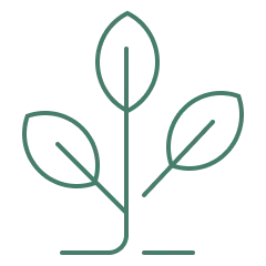 plan-tree-top